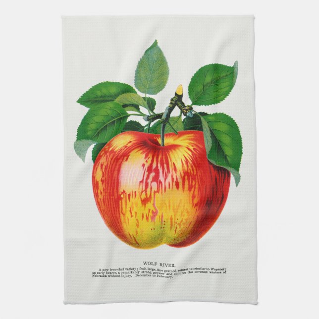 Apple Vintag Illustration Küchentuch (Vertikal)