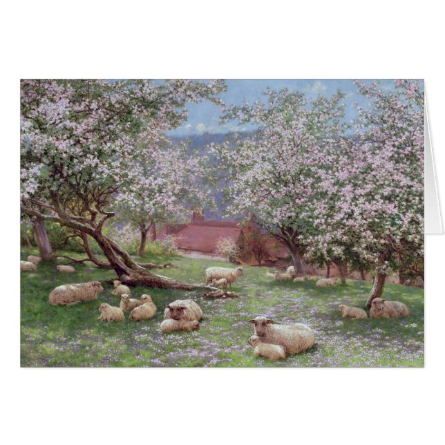 Appleblossom (Vorderseite (Horizontal))