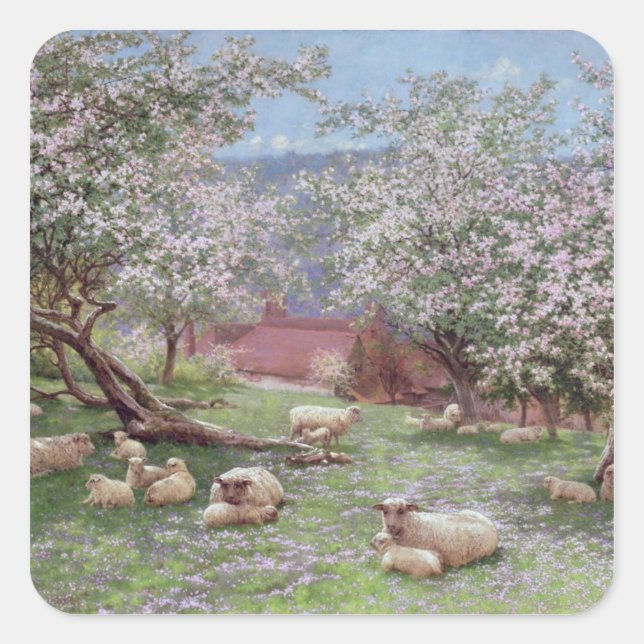 Appleblossom Quadratischer Aufkleber (Vorderseite)