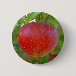 AppleLobo Button