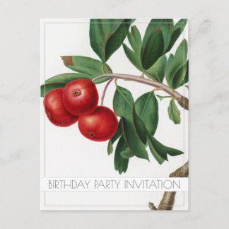 APPLES BIRTHDAY PARTY INVITATION FLAT CARD EINLADUNG