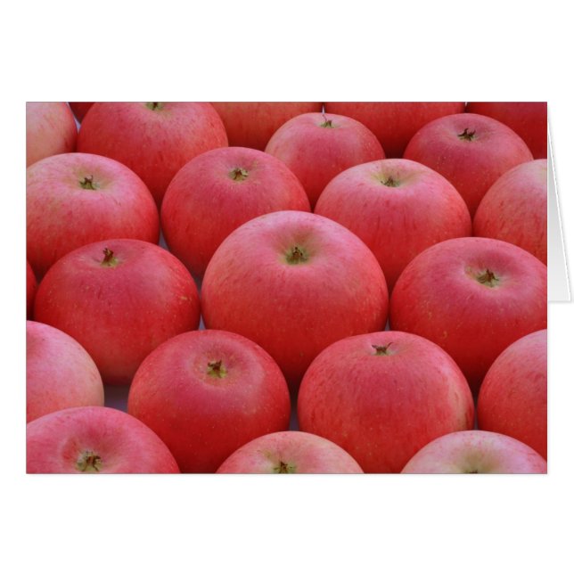 Apples entdecken (Vorderseite (Horizontal))