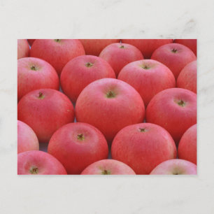 Apples entdecken postkarte