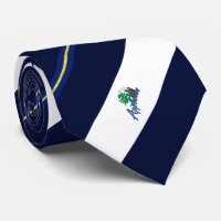 Appleton (Wisconsin) Stadtflagge Neck Tie