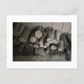 Approachable Wolf Post Card Print Postkarte