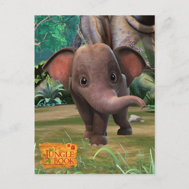 Appu Postkarte (Vorderseite)