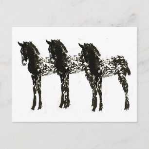 Appy Colts Postkarte