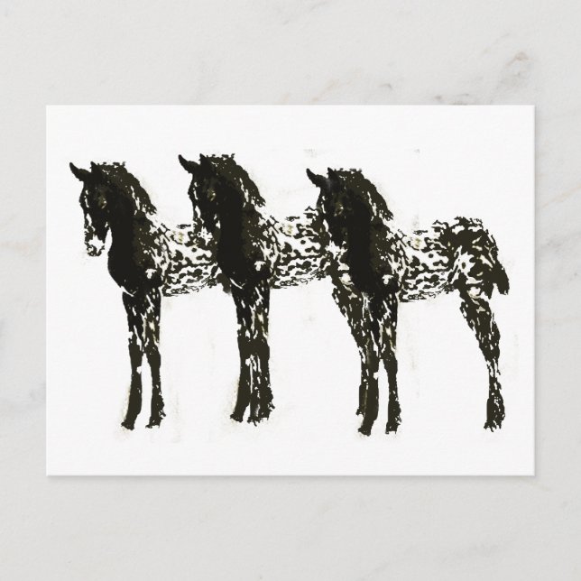 Appy Colts Postkarte (Vorderseite)