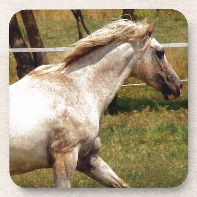 Appy Untersetzer (Vorderseite)