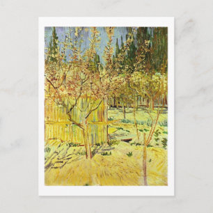 Apricot Bäume in Blossom, Van Gogh Fine Art Postkarte
