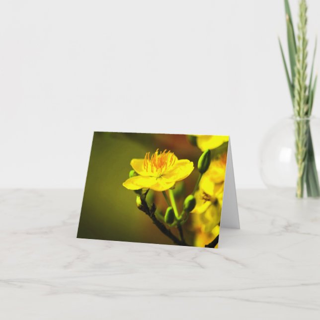 Apricot Blossom Jeden Anlaß Notecard Dankeskarte (Vorderseite)