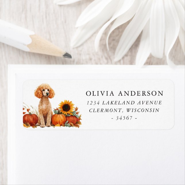 Apricot Colored Poodle HerbstRücksendeadresse (Insitu)