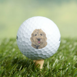 Apricot Golden Doodle Golfball