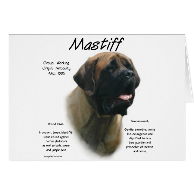 Apricot Mastiff Geschichte (Vorderseite (Horizontal))