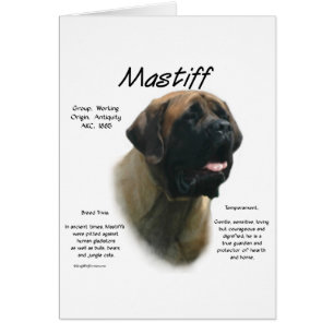 Apricot Mastiff Geschichte