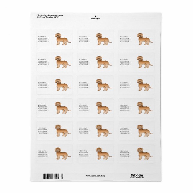 Apricot Mini Goldendoodle Cartoon Dog & Text Adressaufkleber