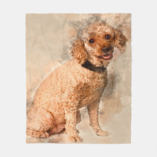 Apricot Poodle 7 Jahre alt - Niedliches Lover Gesc Fleecedecke