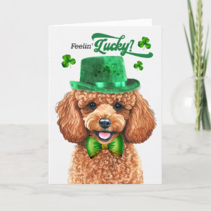 Apricot Poodle Dog Feelin' Lucky St Patrick's Day Feiertagskarte