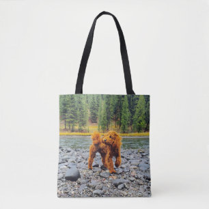 Apricot Poodle - individualisierbares Geschenk