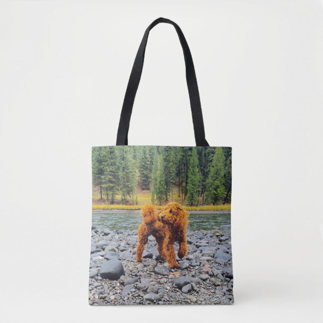 Apricot Poodle - individualisierbares Geschenk (Vorderseite)