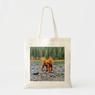 Apricot Poodle - individualisierbares Geschenk Tragetasche