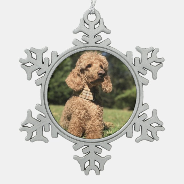 Apricot Poodle individuell anpassbar Schneeflocken Zinn-Ornament (Vorderseite)