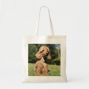 Apricot Poodle individuell anpassbar Tragetasche