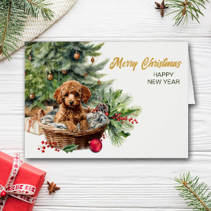 Apricot Poodle Puppy Dog Wicker Korb Weihnachten