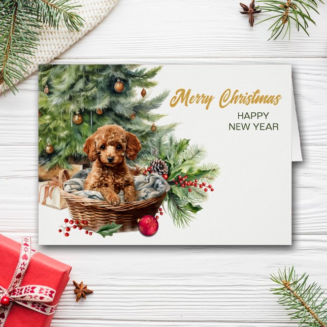 Apricot Poodle Puppy Dog Wicker Korb Weihnachten (Von Creator hochgeladen)