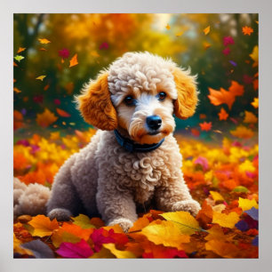 Apricot Poodle Welpe in Herbstlauben Poster