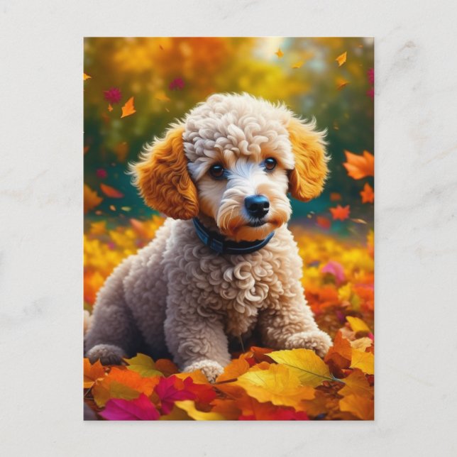 Apricot Poodle Welpe in Herbstlauben Postkarte (Vorderseite)