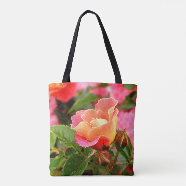 Apricot-Rose (Rückseite)