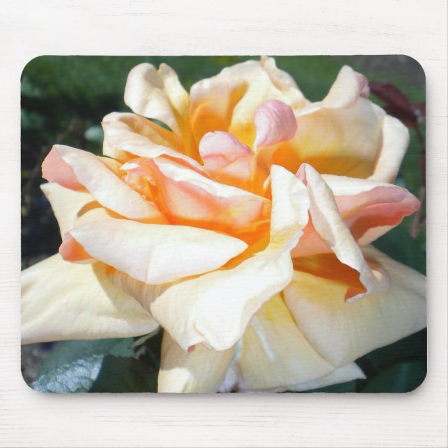 Apricot Rose Mouse Pad Mousepad (Vorne)