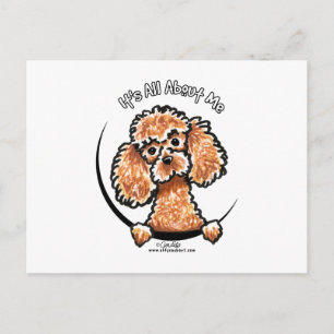 Apricot Toy Miniature Poodle IAAM Postkarte