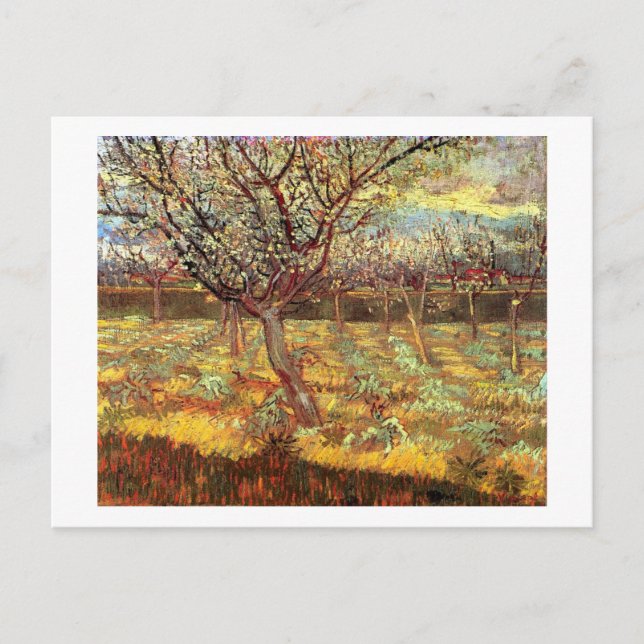 Apricot Trees in Blossom von Van Gogh Postkarte (Vorderseite)