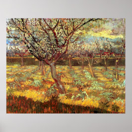 Apricot Trees in Blossom von Vincent van Gogh Poster