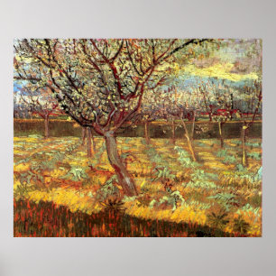 Apricot Trees in Blossom von Vincent van Gogh Poster