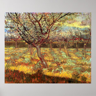 Apricot Trees in Blossom von Vincent van Gogh Poster