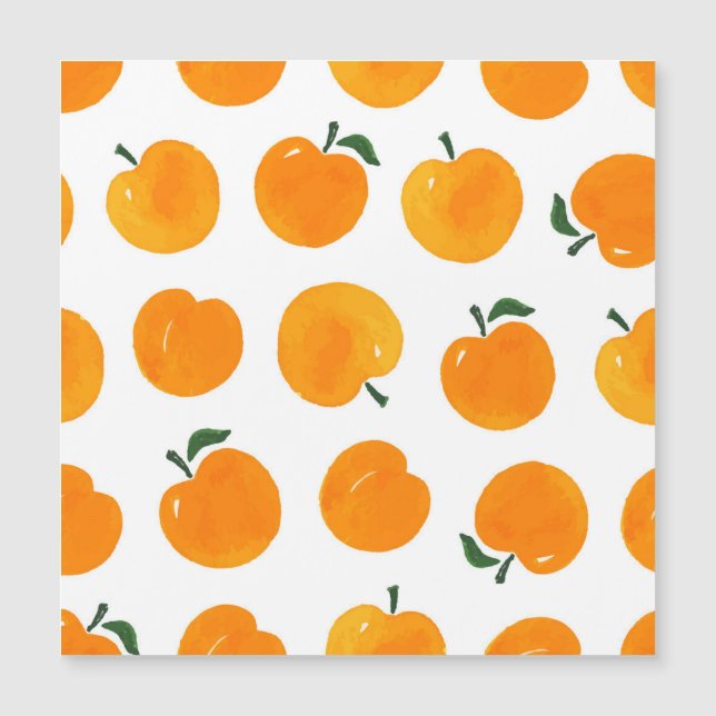 Apricots Aquarell Weißer Hintergrund Vintag Magnetkarte (Vorderseite)