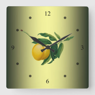 Aprikose ~ Giorgio Gallesio ~ Botanische Frucht ~ Quadratische Wanduhr