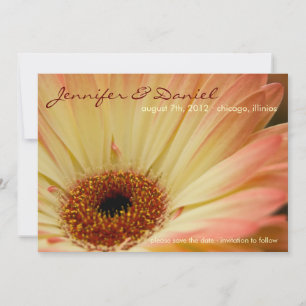 Aprikosen Gerbera • Save the Date Ankündigung