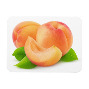Aprikosen kürzen magnet