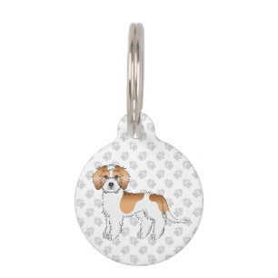 Aprikosen-Parti-Farben-Mini-Goldendoodle-Hund Haustiermarke