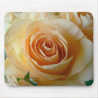 Aprikosen-Rose Mousepad
