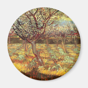 Aprikosenbäume in Blossom, Vincent van Gogh. Vinta Magnet