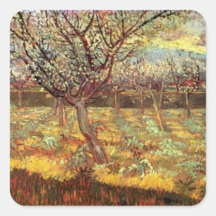 Aprikosenbäume in Blossom, Vincent van Gogh. Vinta Quadratischer Aufkleber