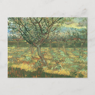 Aprikosenbäume in Blüte, Vincent van Gogh Postkarte