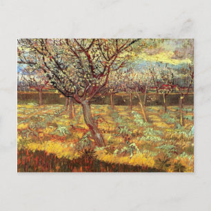 Aprikosenbäume in Blüte, Vincent van Gogh. Vinta Postkarte
