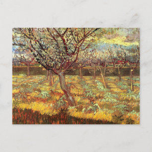 Aprikosenbäume in Blüte von Van Gogh Postkarte
