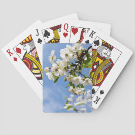 Aprikosenblüte. Spielkarten